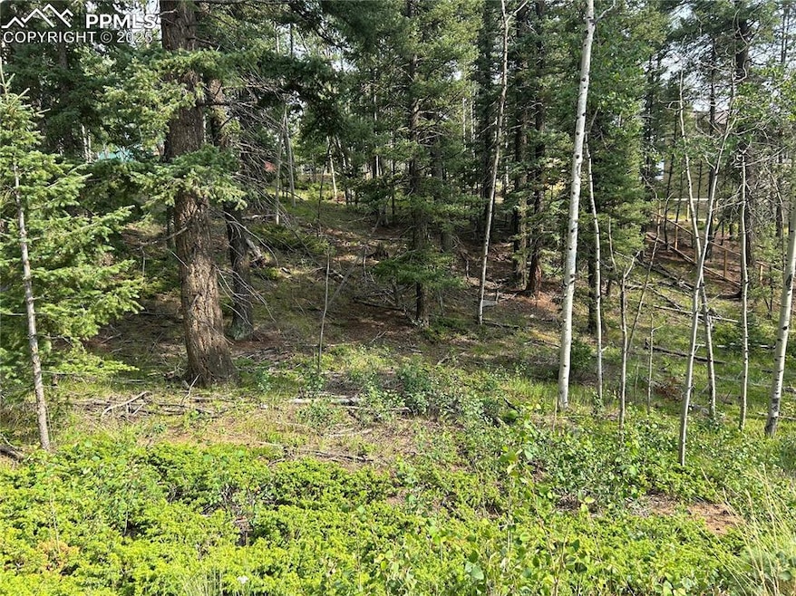 View of nature
