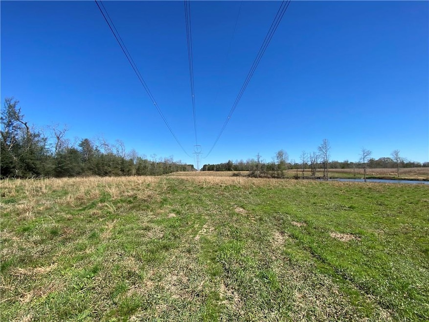 TBD Ruth Holton Rd, Amite, LA 70422 - photo 1