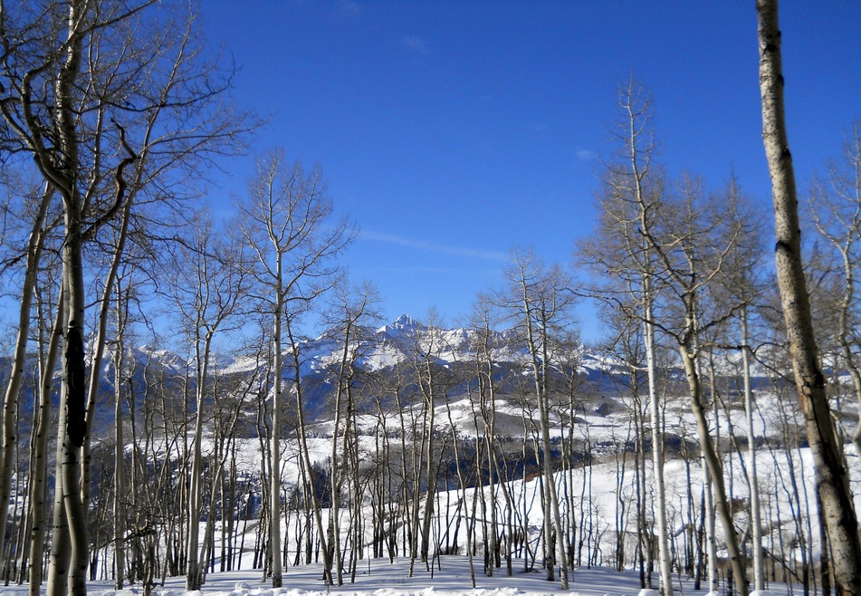 view