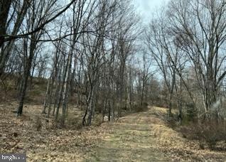 Tract A Ewing Dr, Baker, WV 26801 - photo 1