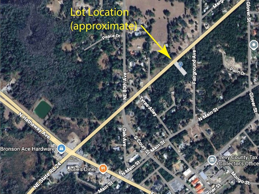 0 E Thrasher Dr, Bronson, FL 32621 - photo 1