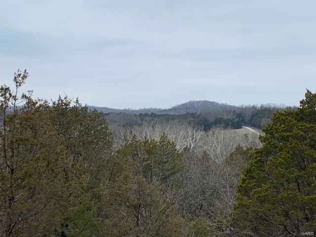 5530 Calvey Creek Rd, Robertsville, MO 63072 - photo 1