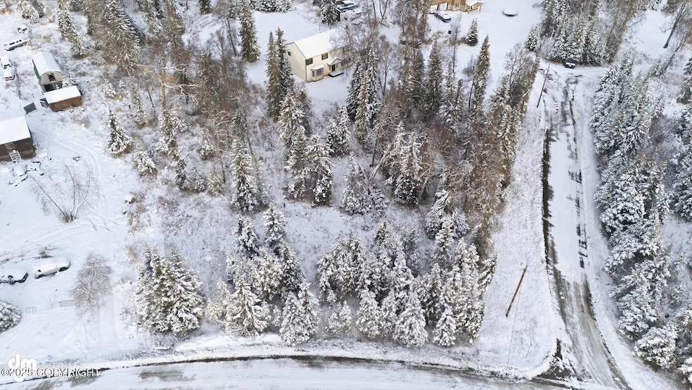 46110 Spruce Place, Nikiski, AK 99611 - photo 1