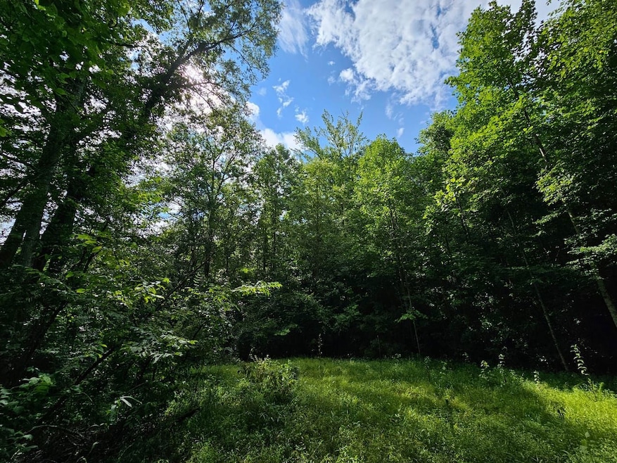 0 Hutcheson Road Off, Temple, GA 30179 - photo 1