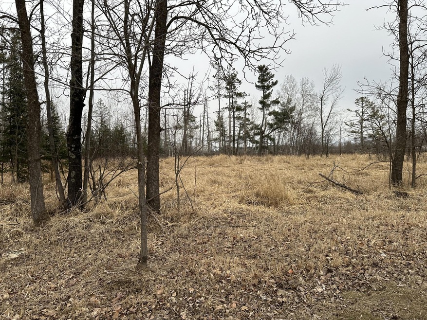 3 acres 7th St, Weyerhaeuser, WI 54895 - photo 1