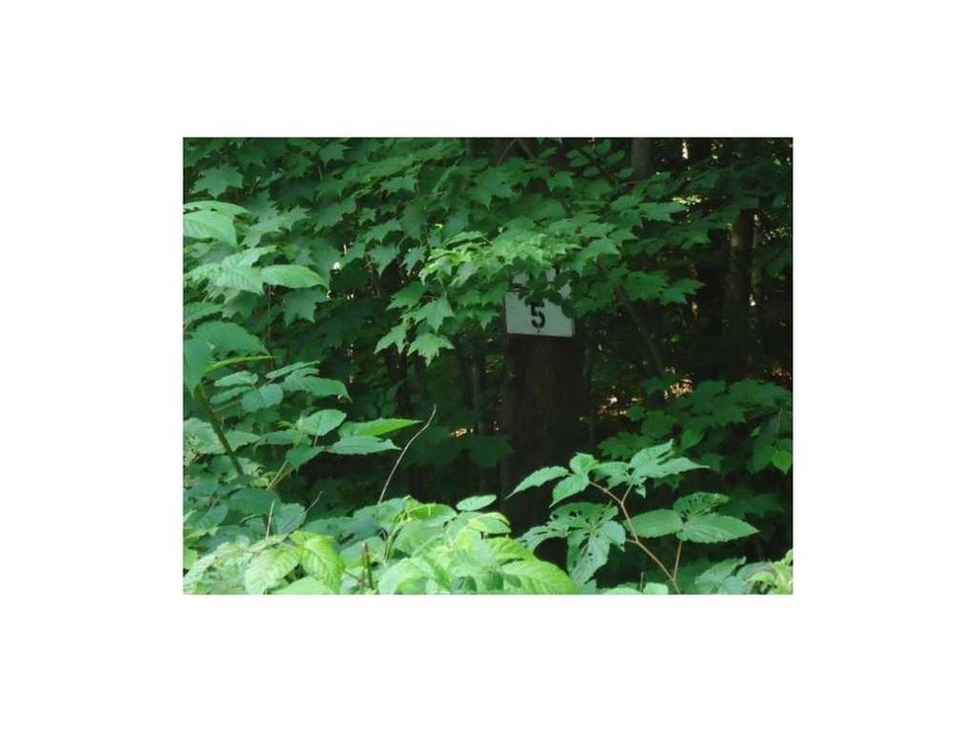 Lot#5 Ridge Rd, Sumner, ME 04292 - photo 1