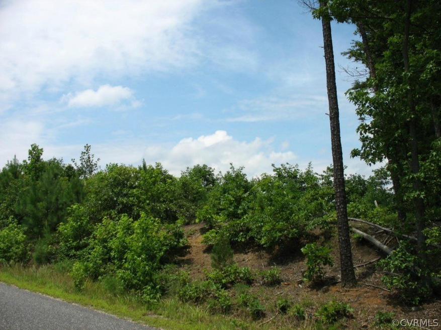 0000 Cool Water Rd, Caroline, VA 22546 - photo 1