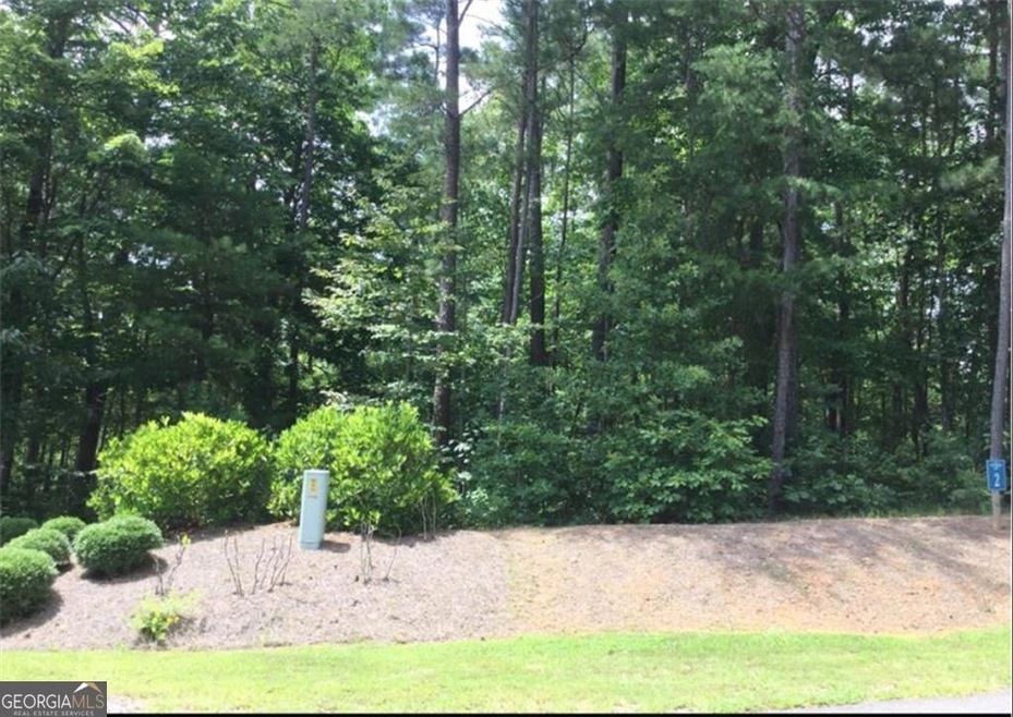 0 Harris Creek Dr unit 10350798, Ellijay, GA 30540 - photo 1