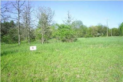 40 Calob Ct NE unit LOT 9, Lowell, MI 49331 - photo 1