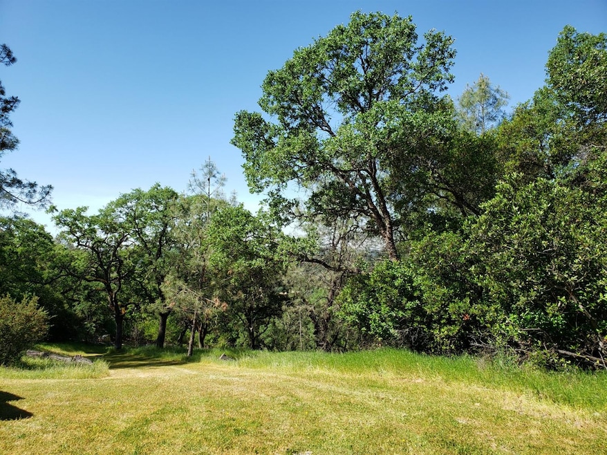 Acres Arrowbee Dr, Placerville, CA 95667 - photo 1
