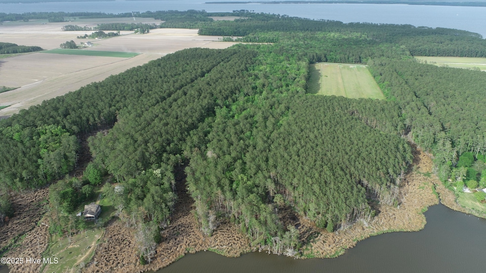 Drone shot
