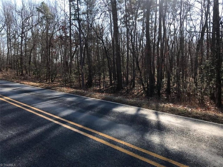 0 Burney Rd unit 959713, Asheboro, NC 27205 - photo 1