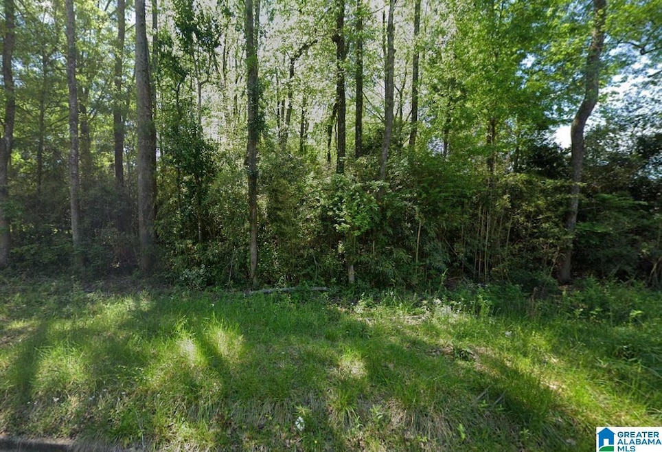 205 W Coosa St unit 13 and 14, Sylacauga, AL 35150 - photo 1