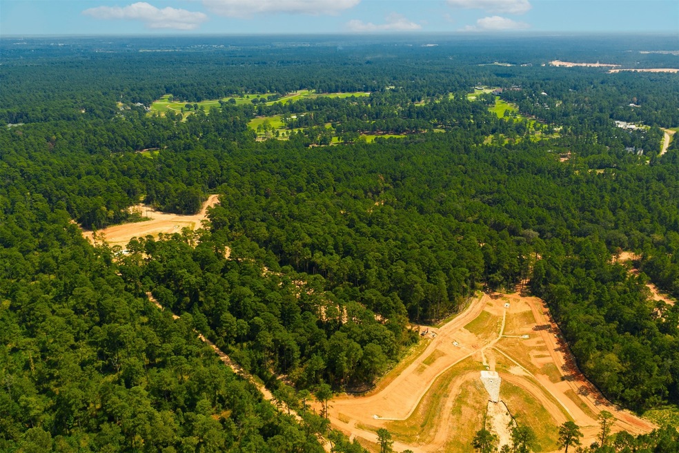 26536 Spy Glass Hill Dr, Montgomery, TX 77356 - photo 1