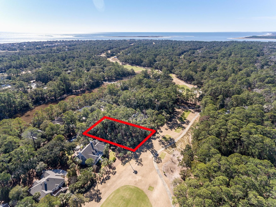 2490 Cat Tail Pond Rd Johns-large-OUTLIN