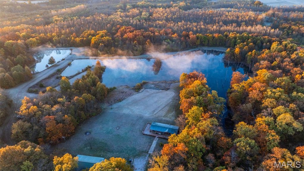 1847 Jaketown Rd, Lagrange Township, IL 62019 - photo 1