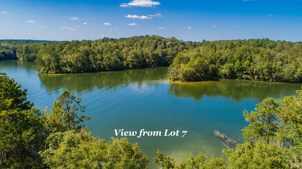Lot 7 Sturdivant Rd, Jacksons Gap, AL 36861 - photo 1