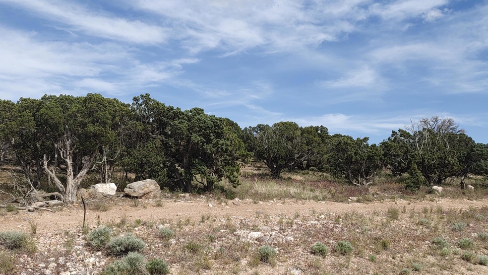 Lot 156 Cross Hollow Hills, Cedar City, UT 84720 - photo 1