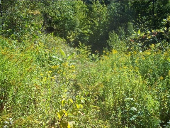 0 Hinesburg Hollow Rd unit 4387818, Hinesburg, VT 05461 - photo 1