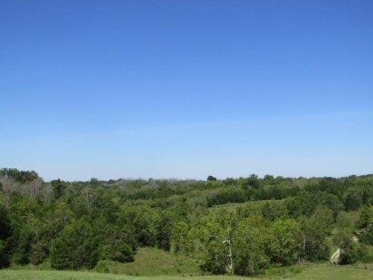 2853 Talmage Mayo Rd, Salvisa, KY 40372 - photo 1