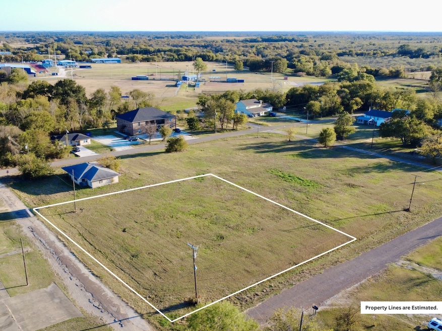 Lot 8-10 S Walton, Blooming Grove, TX 76626 - photo 1