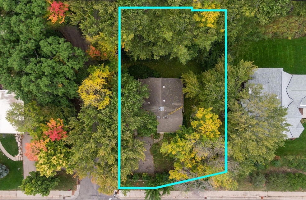 263 Central Ave N, Wayzata, MN 55391 - photo 1