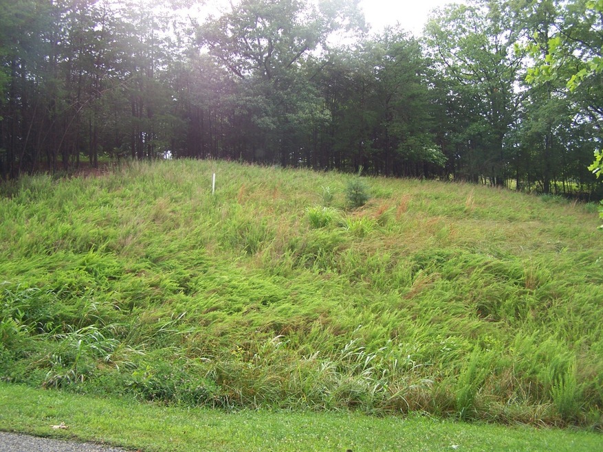Fantastic Water Access Lot!