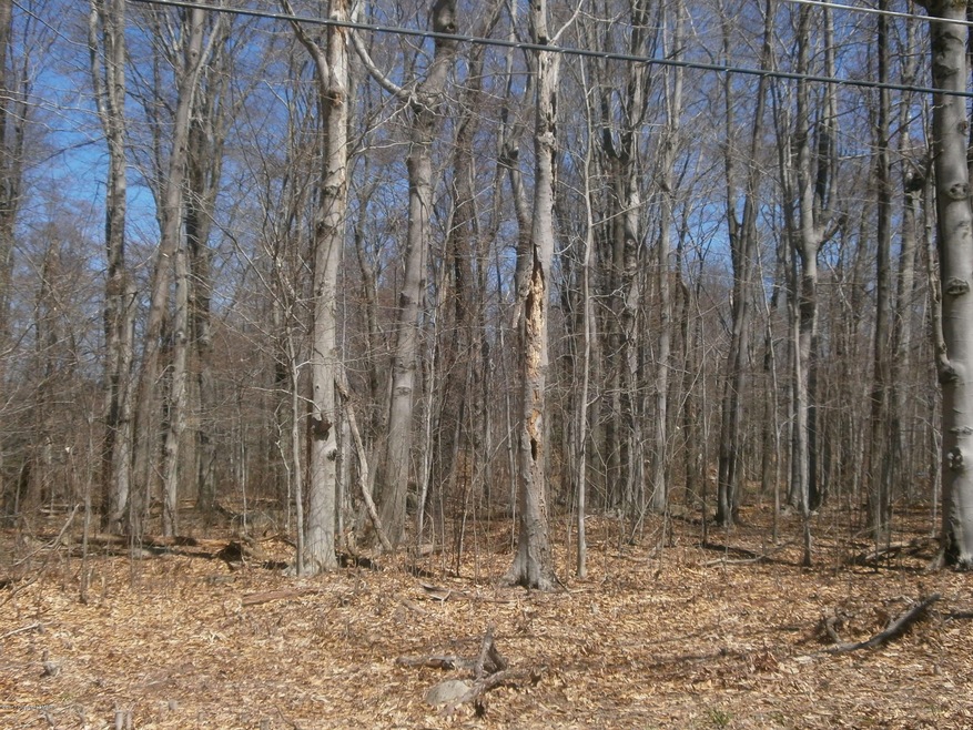 0 Logger Rd, Greene Township, PA 18325 - photo 1