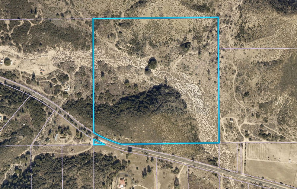 40 AC Pine Cyn