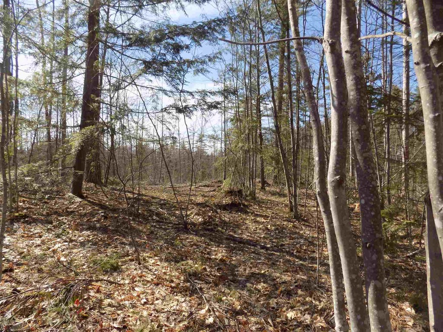 0 Mill St, Conway, NH 03818 - photo 1