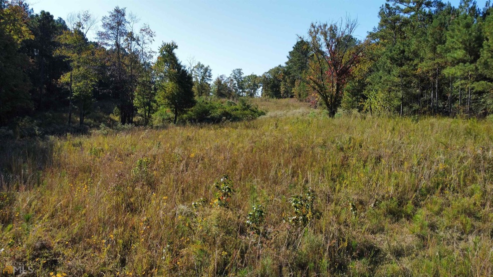 0 Morton Bend Rd SW unit 20078950, Rome, GA 30161 - photo 1