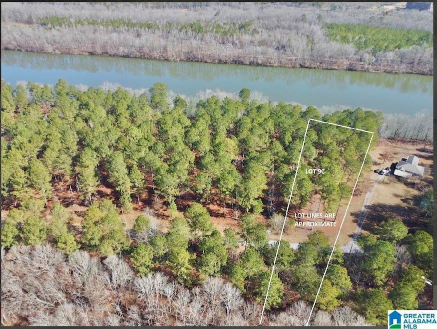 650 & 651 Liberty Shores Blvd unit Lot 9C, Vincent, AL 35178 - photo 1