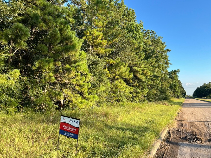 0 Continental Pkwy unit 60798783, Humble, TX 77346 - photo 1