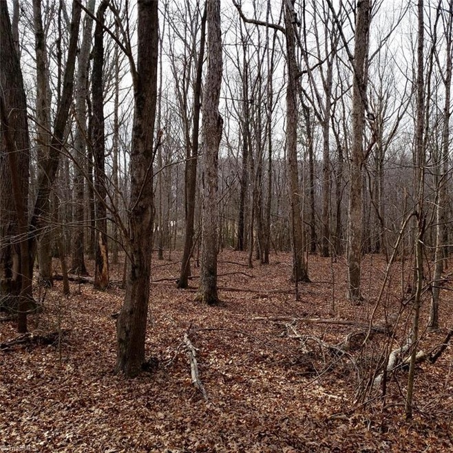 0 Cardinal St, Asheboro, NC 27205 - photo 1