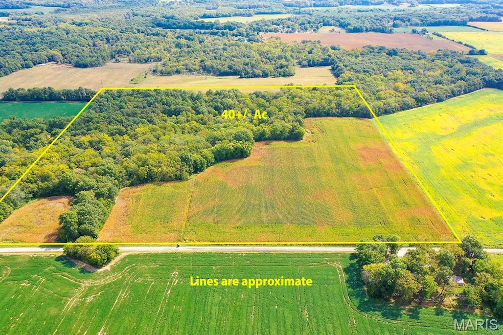 TBB Ayers Rd, Greenville, IL 62246 - photo 1