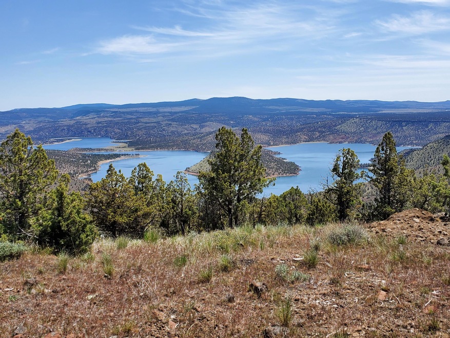 View of the Lake