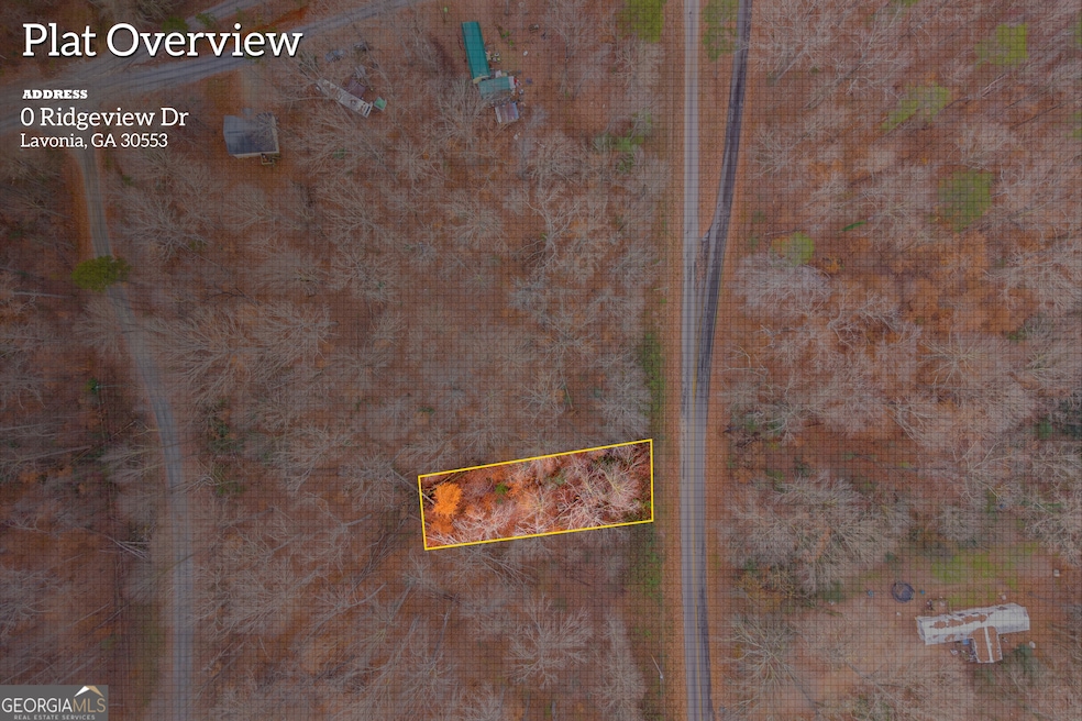0 Ridgeview Dr unit 10655811, Lavonia, GA 30553 - photo 1