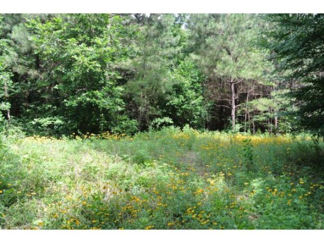 1013 County Road 615, Nacogdoches, TX 75964 - photo 1