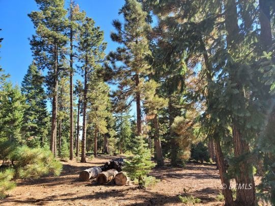 1 Acre Bordering National Forest