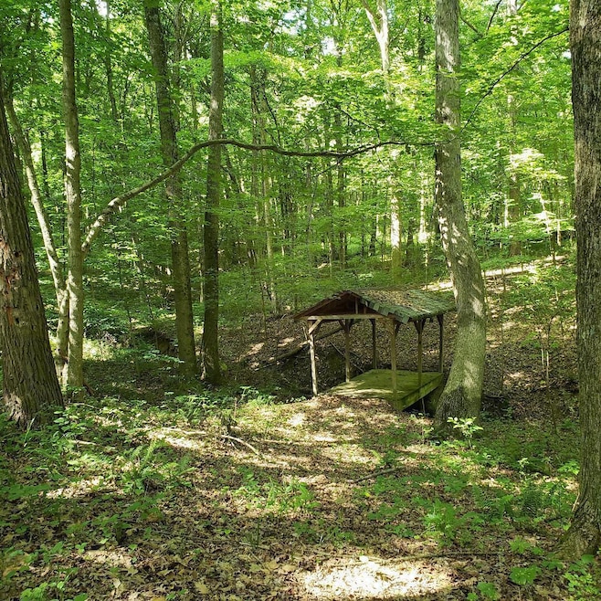 0 Mulberry Rd, Mount Perry, OH 43760 - photo 1