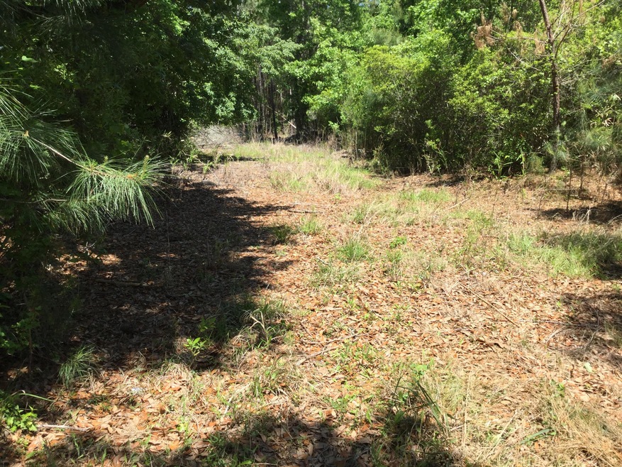 trail