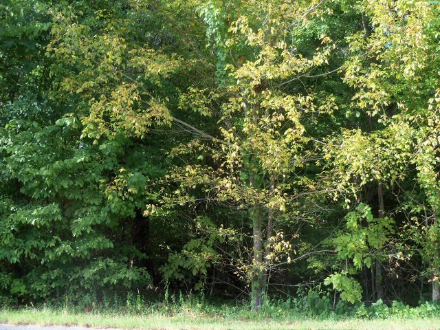 2 AC Cindy Dr, Cookeville, TN 38506 - photo 1