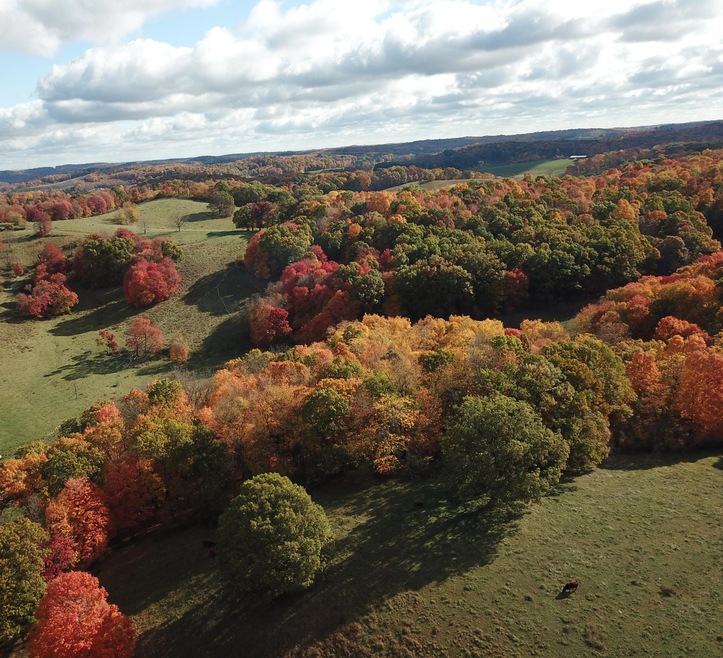 DJI_0338