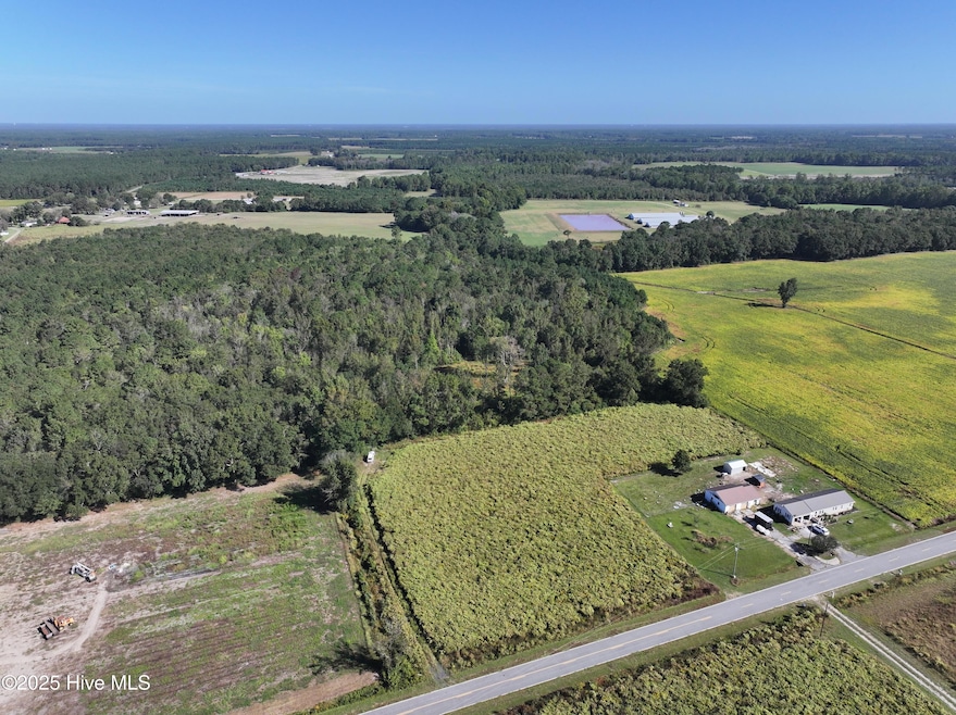 Off Earl Price Rd, Deep Run, NC 28525 - photo 1