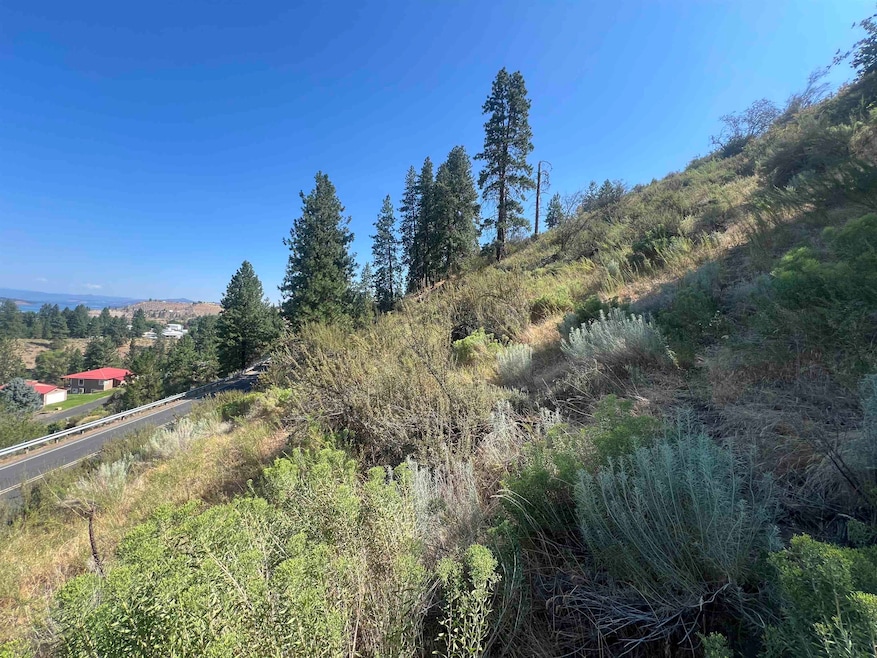 For Sale $49,999 • Co-Listing Agent