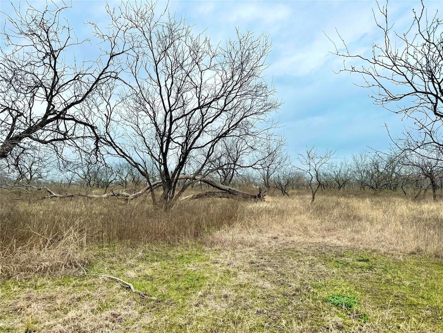 TBD Tract 3&4 Gin Rd, Ennis, TX 75119 - photo 1