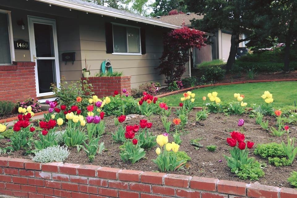 1460 Honeysuckle Ave, Medford, OR 97504 - photo 1