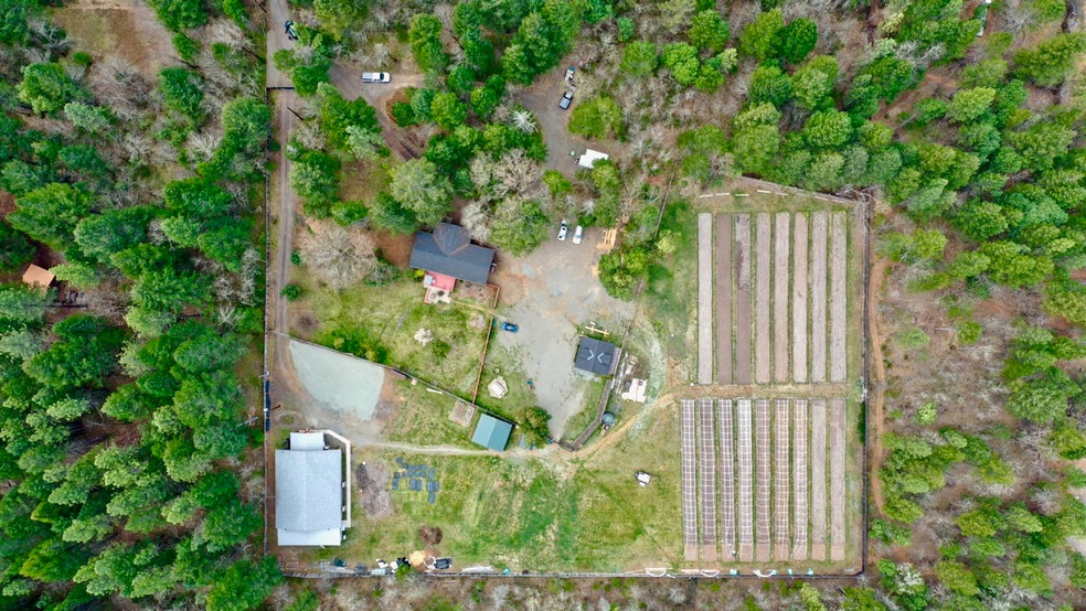 557321A0E29CED86374F6FDEC5561374