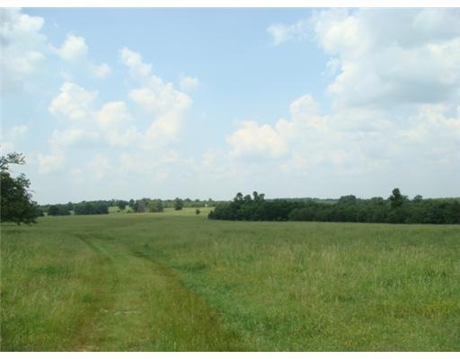 View. CATTLEMAN S RANCH!!!!