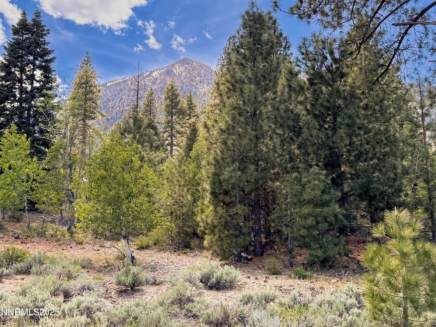 Nature's Edge Mountain View